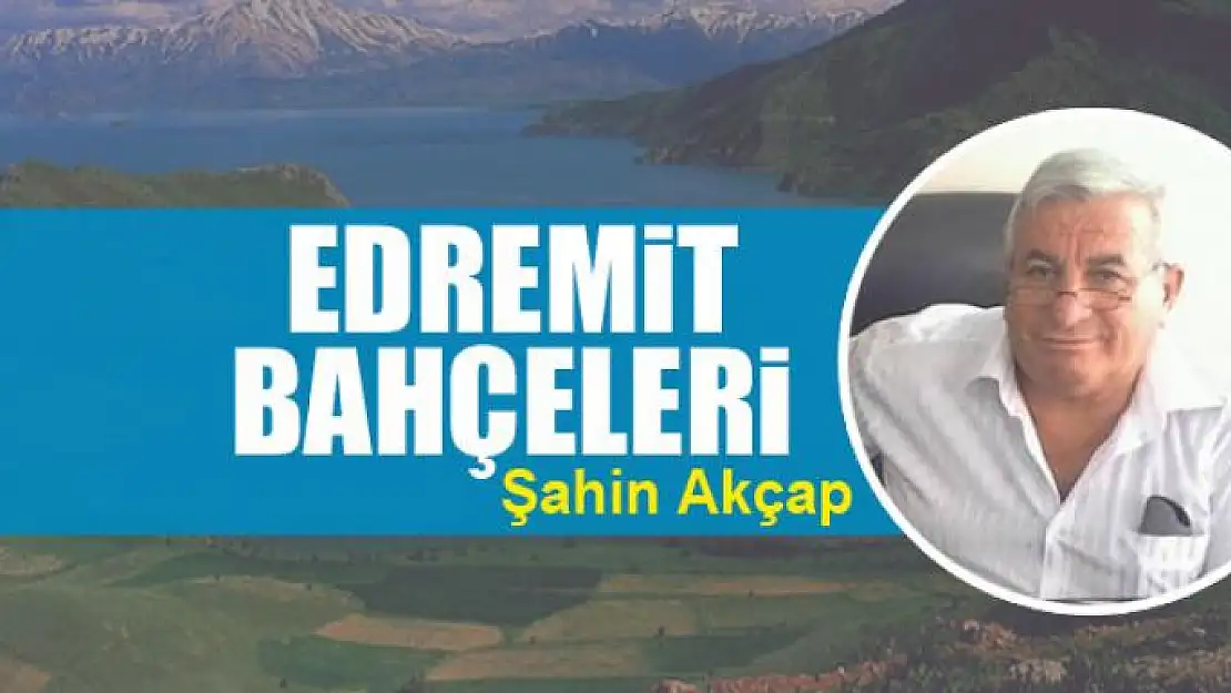 Edremit bahçeleri