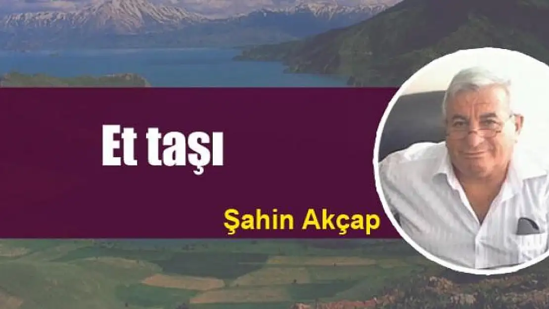 Et taşı  