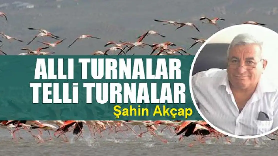 Allı turnalar telli turnalar