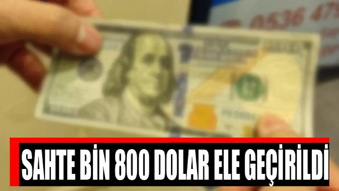 Sahte bin 800 dolar ele geçirildi