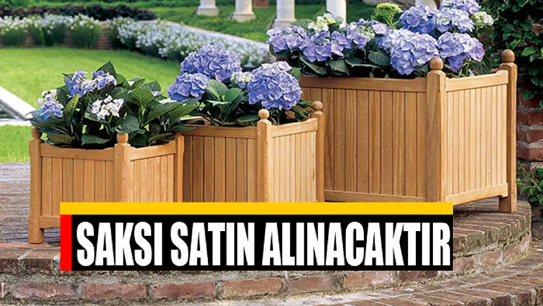 Saksı satın alınacaktır