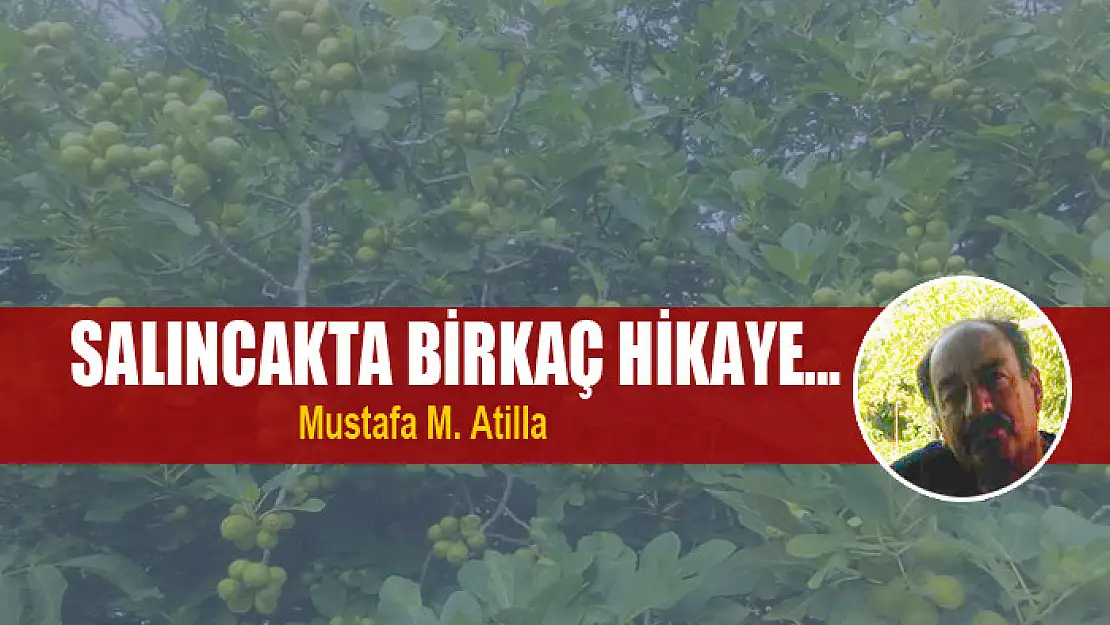 Salıncakta birkaç hikaye…