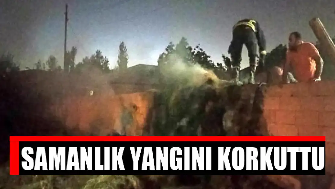 Samanlık yangını korkuttu