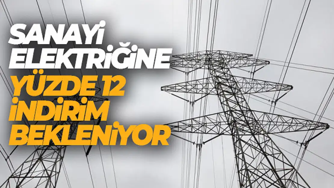 Sanayi elektriğine yüzde 12 indirim bekleniyor