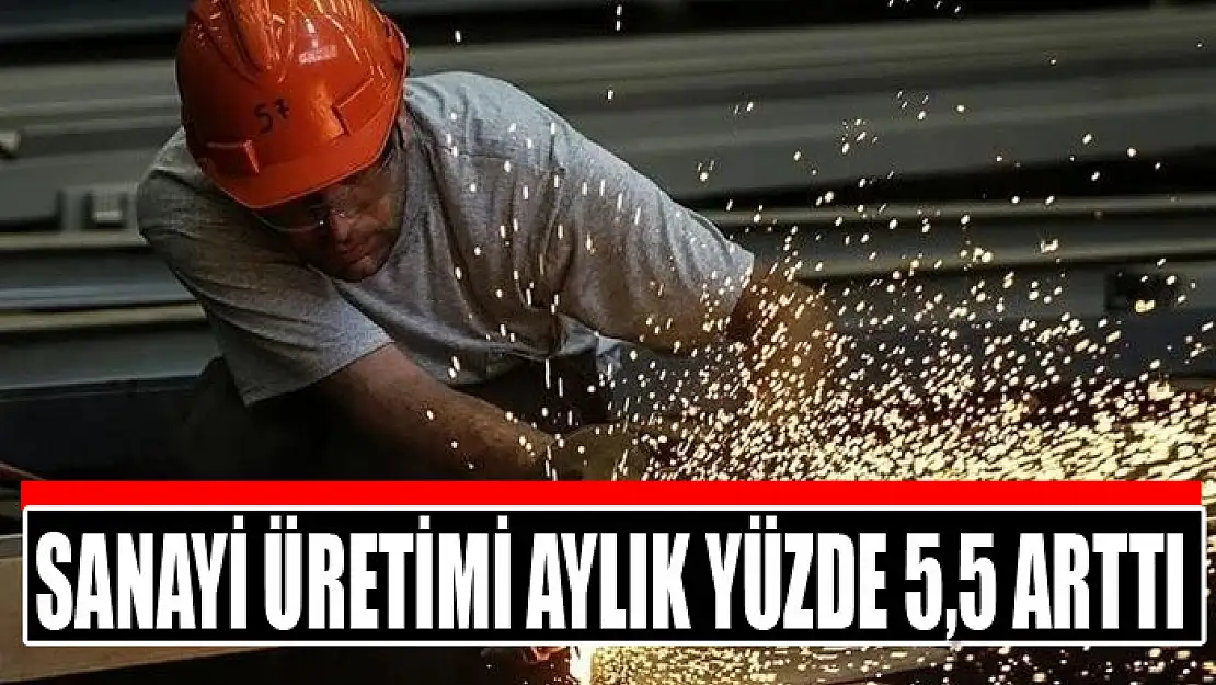 Sanayi üretimi aylık yüzde 5,5 arttı