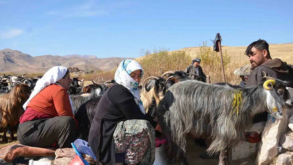 Şartlarının iyileştirilmesinde devletten tam destek