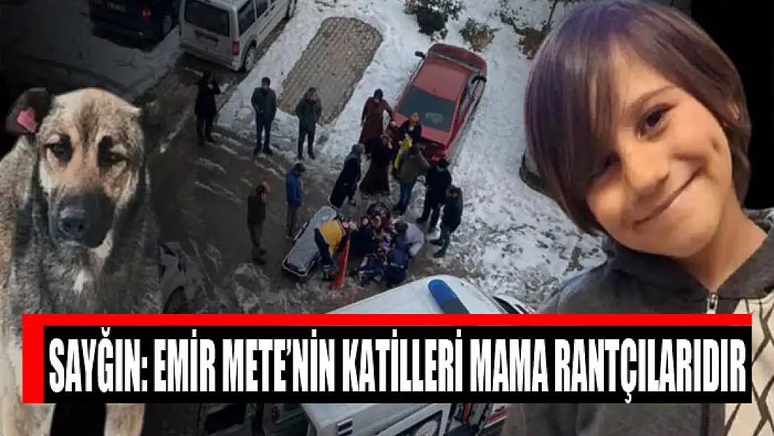 SAYĞIN: METE'NİN KATİLLERİ MAMA RANTÇILARIDIR