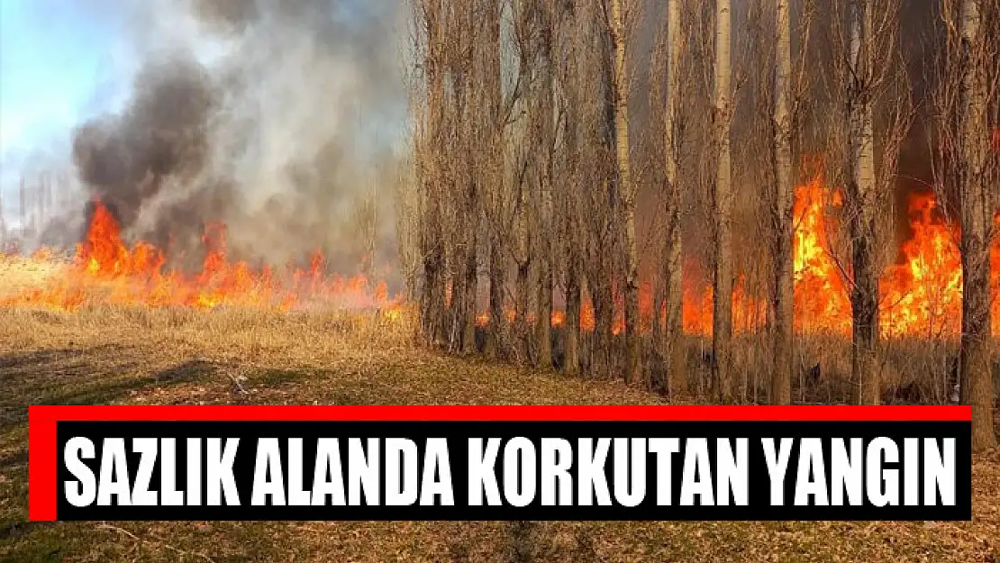 Sazlık alanda korkutan yangın