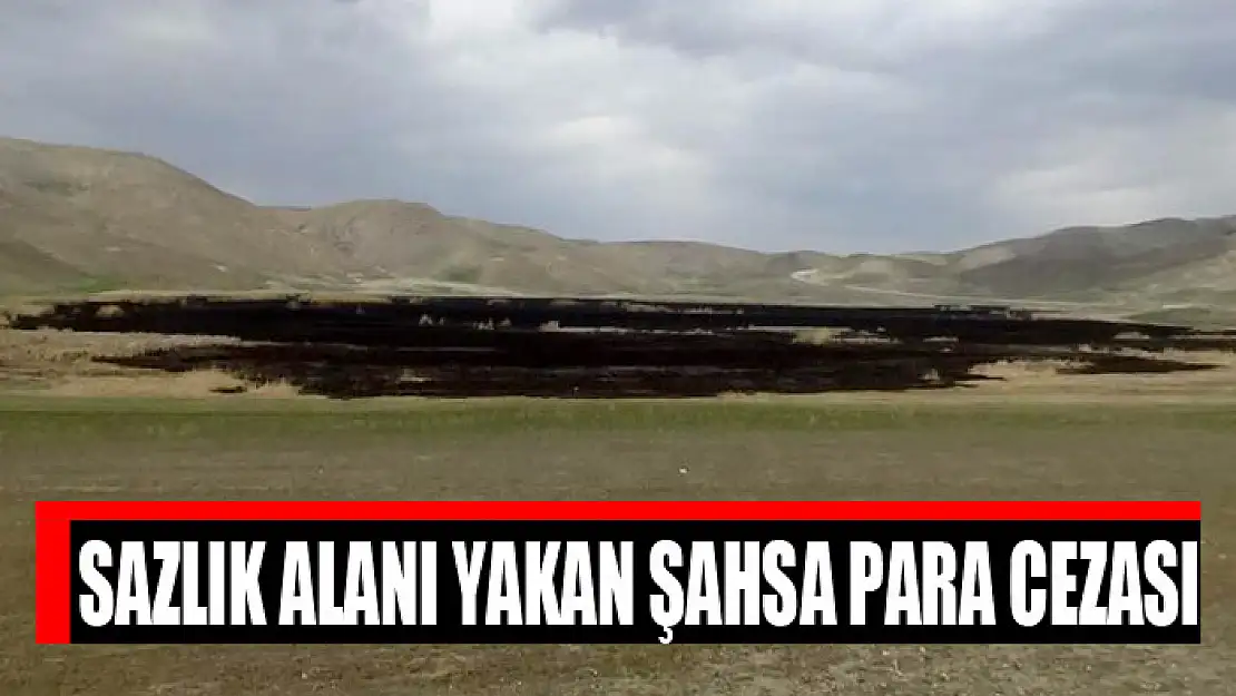 Sazlık alanı yakan şahsa para cezası