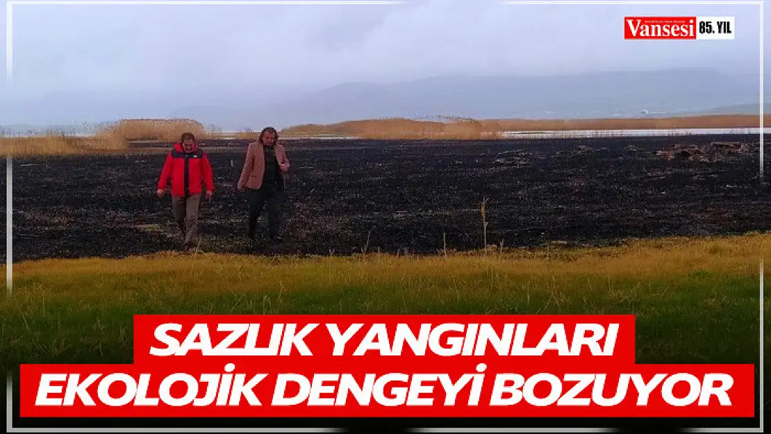 Sazlık yangınları ekolojik dengeyi bozuyor