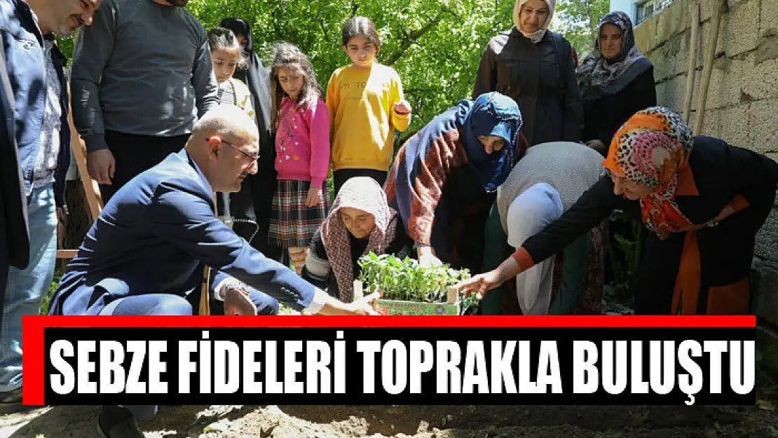 SEBZE FİDELERİ TOPRAKLA BULUŞTU