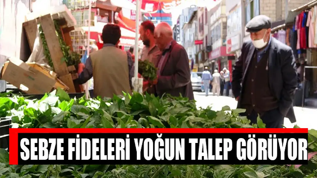 Sebze fideleri yoğun talep görüyor