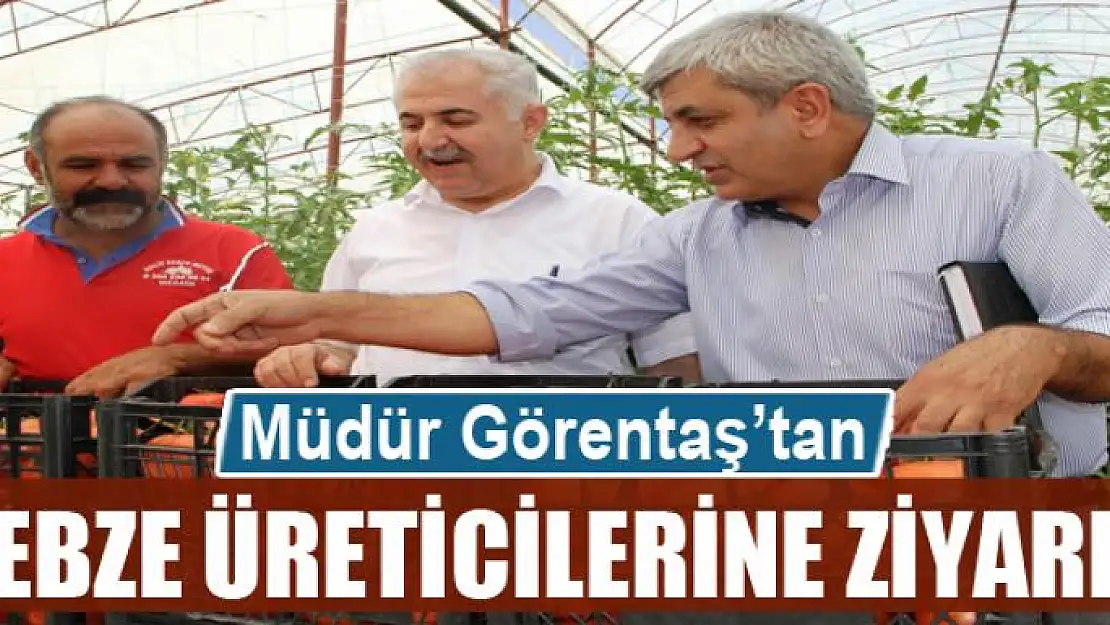 Müdür Görentaş'tan sebze üreticilerine ziyaret