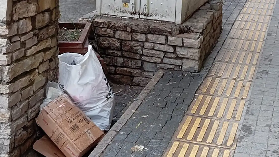 Şehir merkezindeki kirlilik tepki topluyor