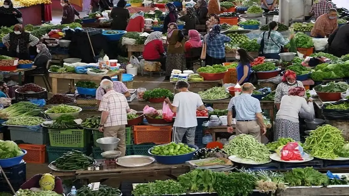 Şehirde herkes onu topluyor: Pazarda fiyatı 200 liraya çıktı!