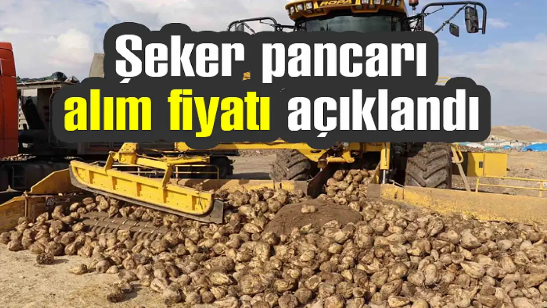 Şeker pancarı alım fiyatı açıklandı