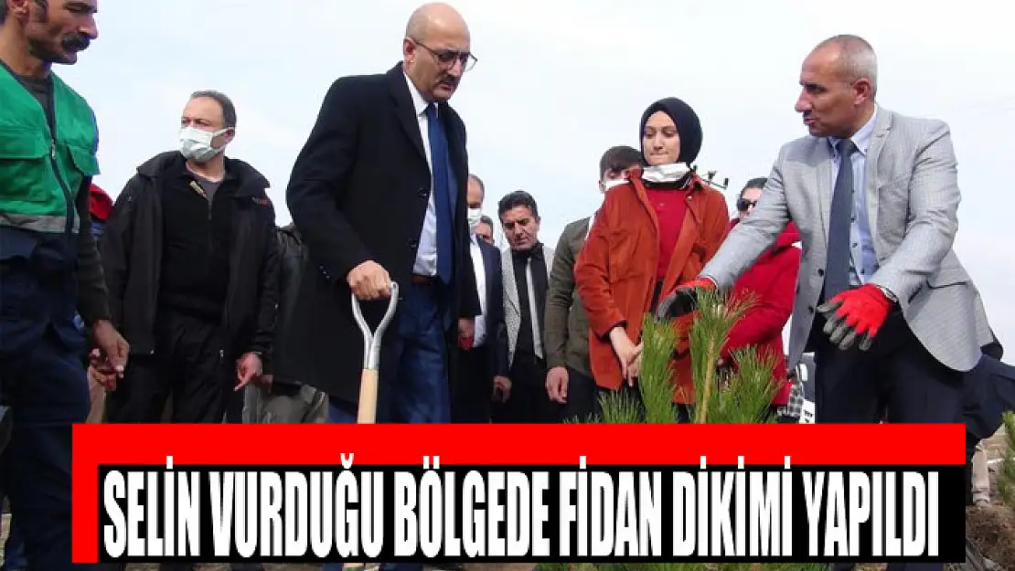 Selin vurduğu bölgede fidan dikimi yapıldı