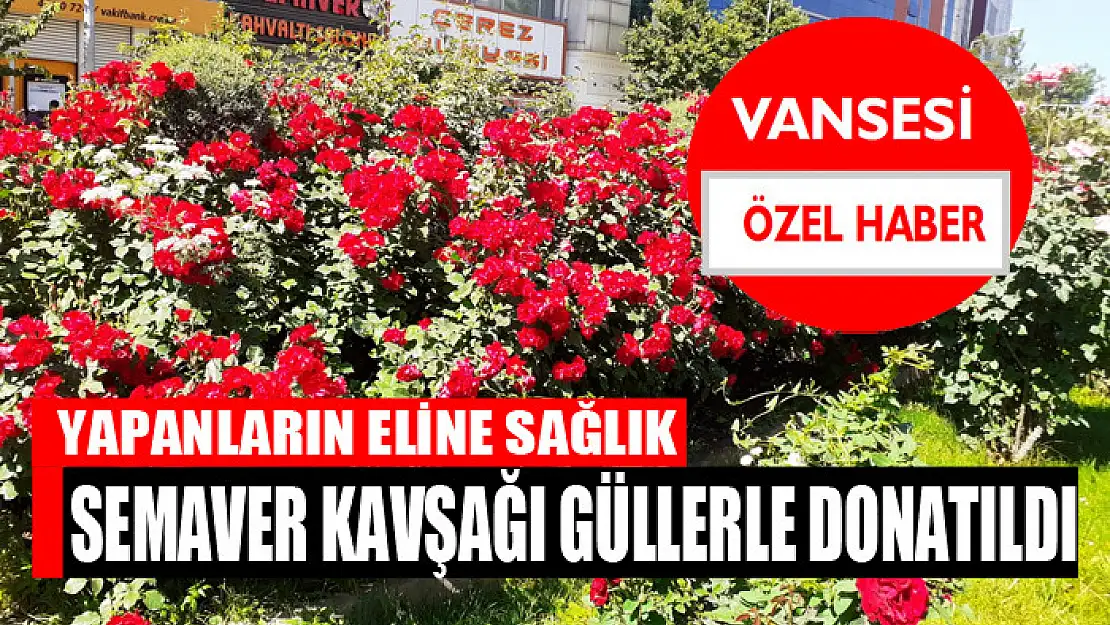 Semaver kavşağı güllerle donatıldı