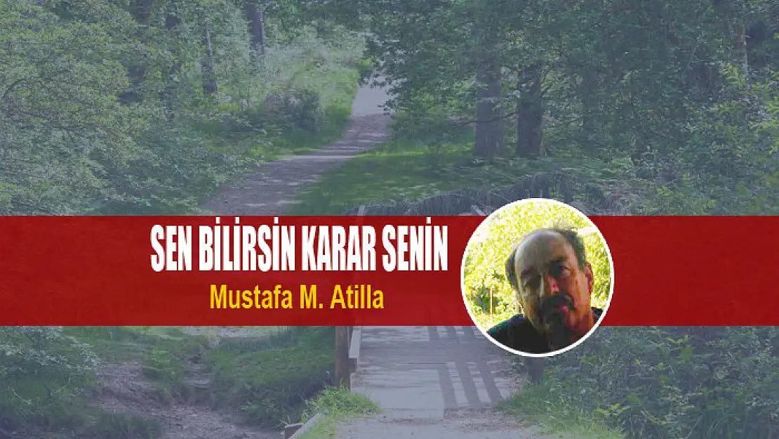 SEN BİLİRSİN KARAR SENİN