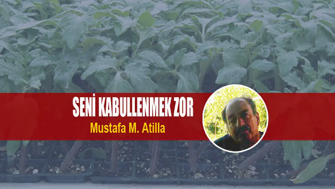 SENİ KABULLENMEK ZOR