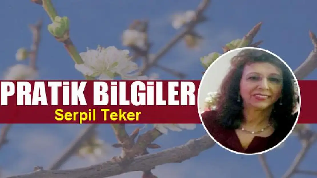 Pratik bilgiler