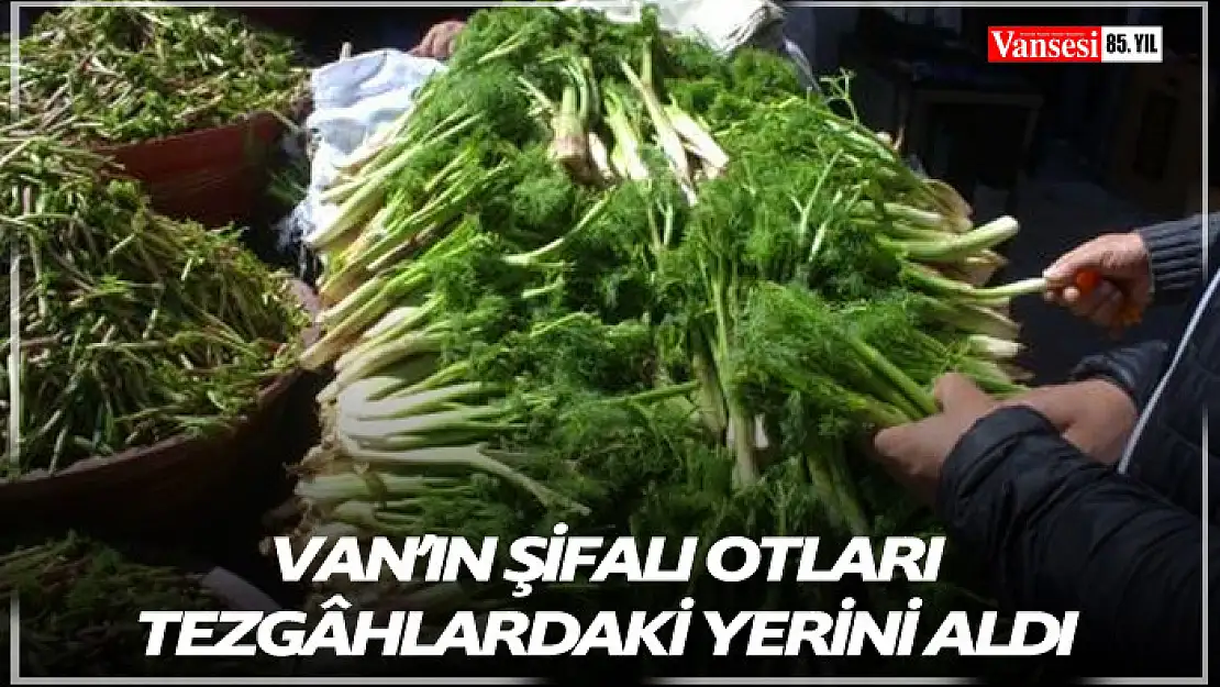 Şifalı otlar tezgâhlardaki yerini aldı