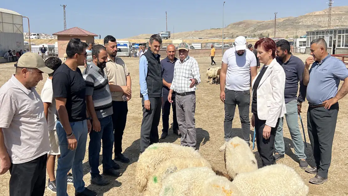 Şişman, hayvan satış yerlerinde denetimlerde bulundu