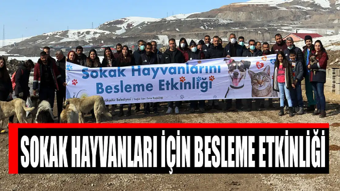 SOKAK HAYVANLARI İÇİN BESLEME ETKİNLİĞİ