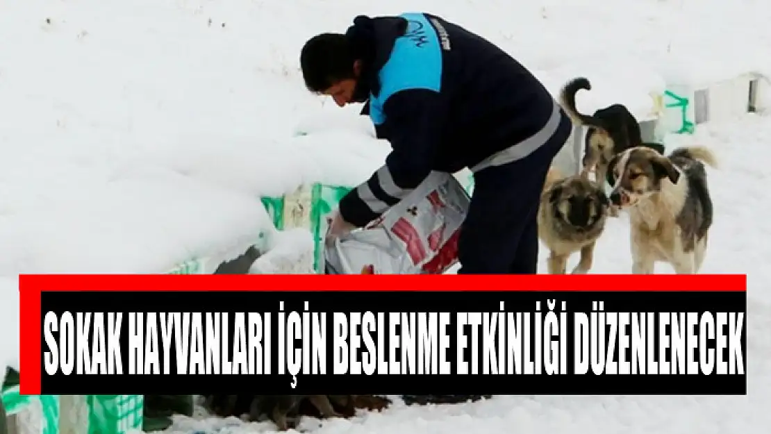 SOKAK HAYVANLARI İÇİN BESLENME ETKİNLİĞİ DÜZENLENECEK