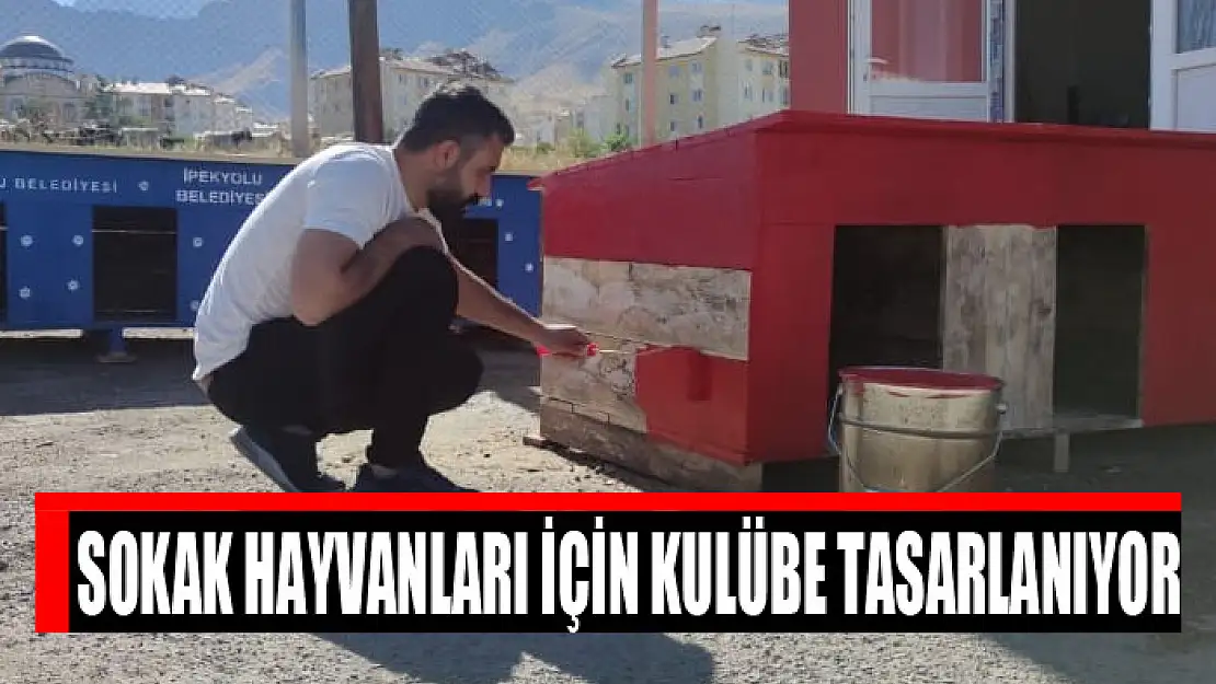 Sokak hayvanları için kulübe tasarlanıyor