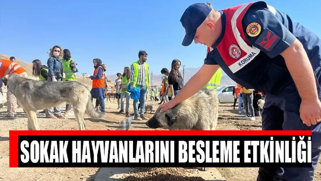 Sokak hayvanlarını besleme etkinliği