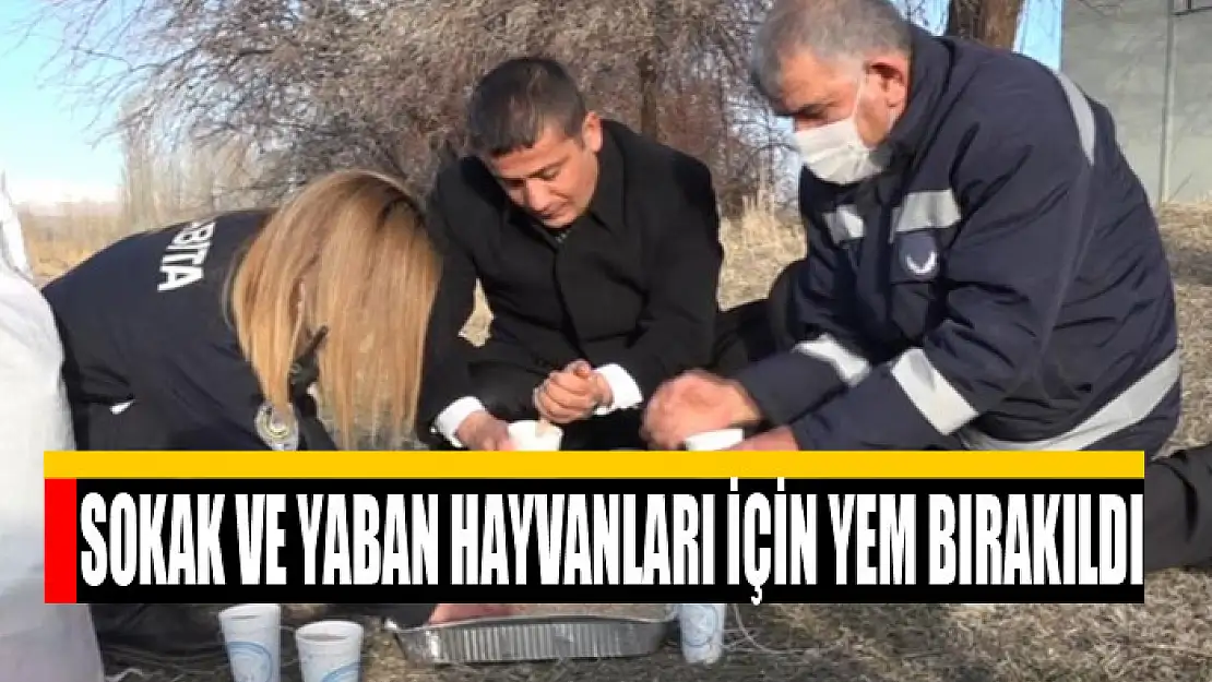 Sokak ve yaban hayvanları için yem bırakıldı