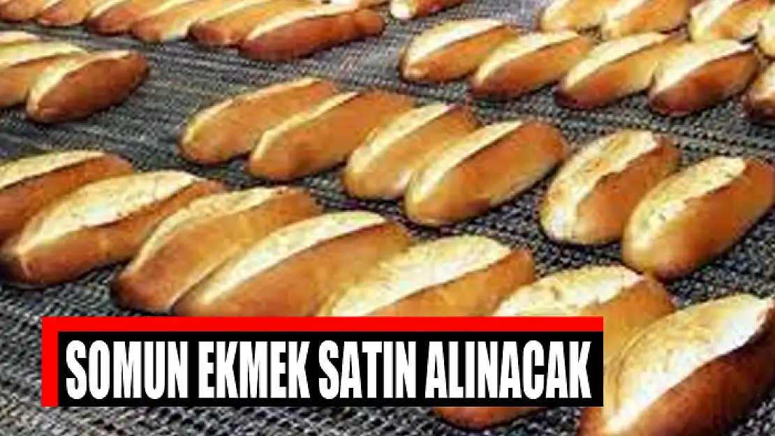 Somun ekmek satın alınacak