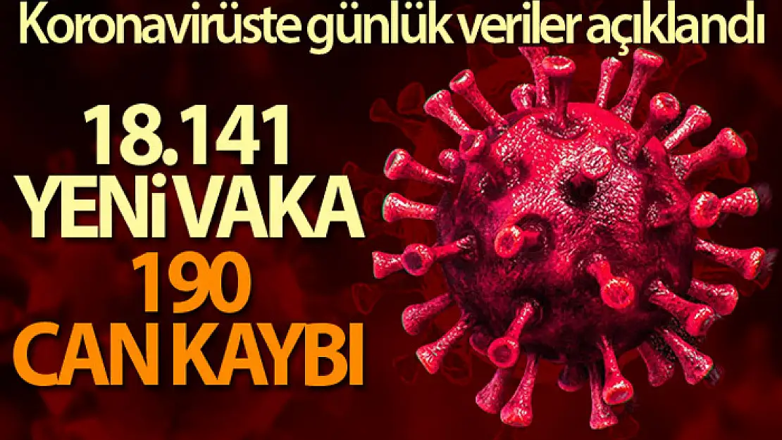 Son 24 saatte 18 bin 141 vaka, 190 can kaybı