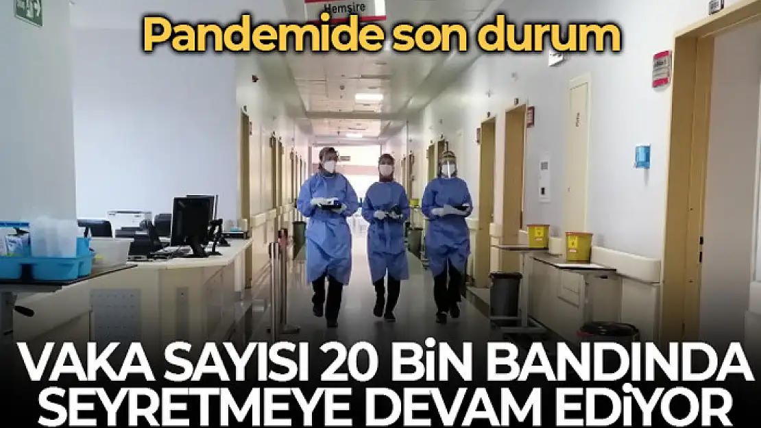 Son 24 saatte korona virüsten 132 kişi hayatını kaybetti