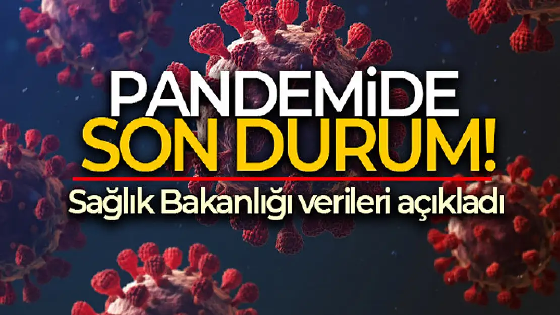 Son 24 saatte korona virüsten 132 kişi hayatını kaybetti