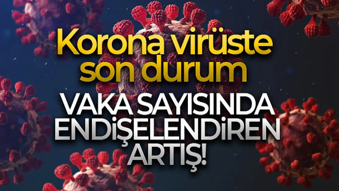 Son 24 saatte korona virüsten 133 kişi hayatını kaybetti