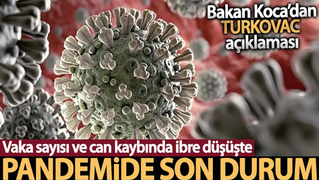 Son 24 saatte korona virüsten 168 kişi hayatını kaybetti