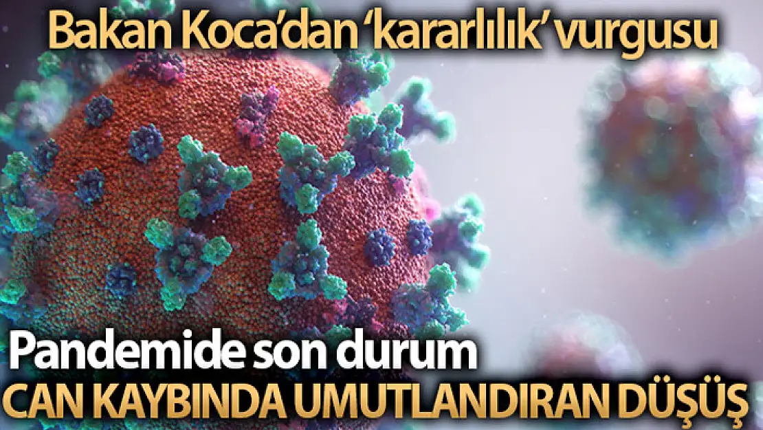 Son 24 saatte korona virüsten 175 kişi hayatını kaybetti