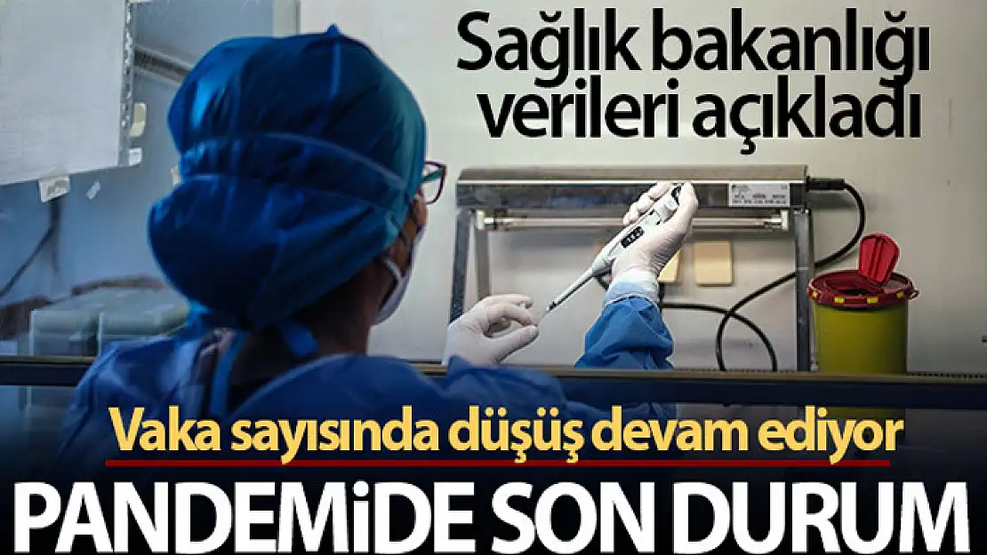 Son 24 saatte korona virüsten 195 kişi hayatını kaybetti