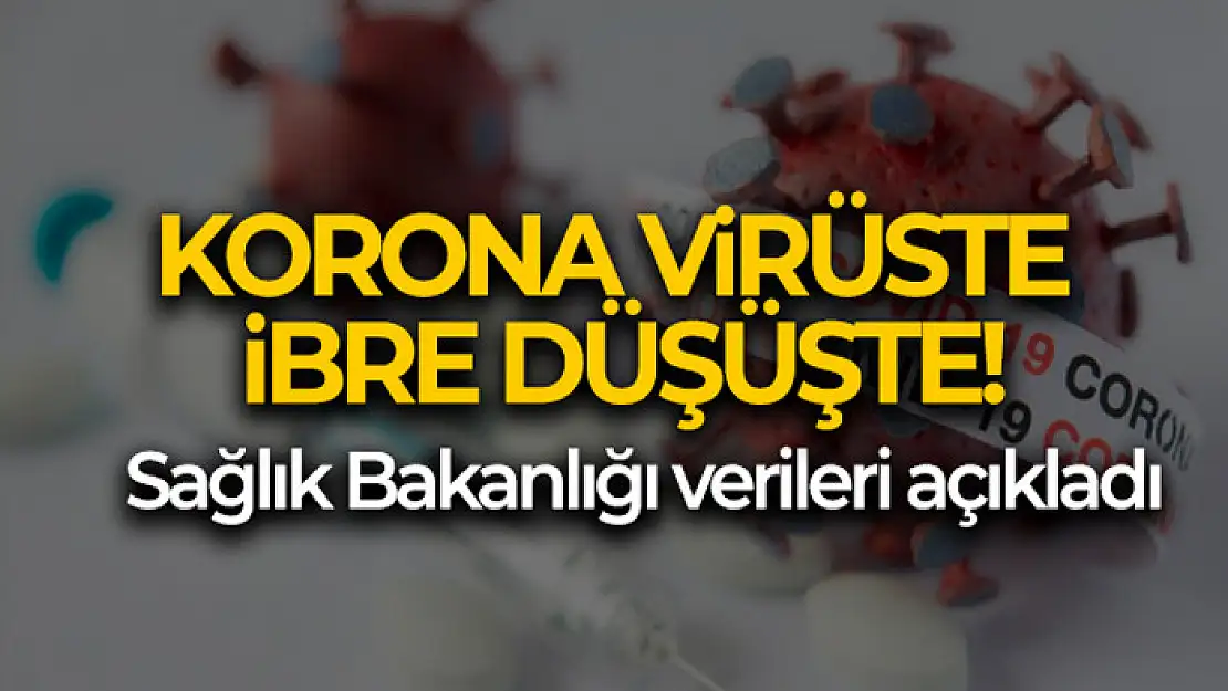 Son 24 saatte korona virüsten 45 kişi hayatını kaybetti