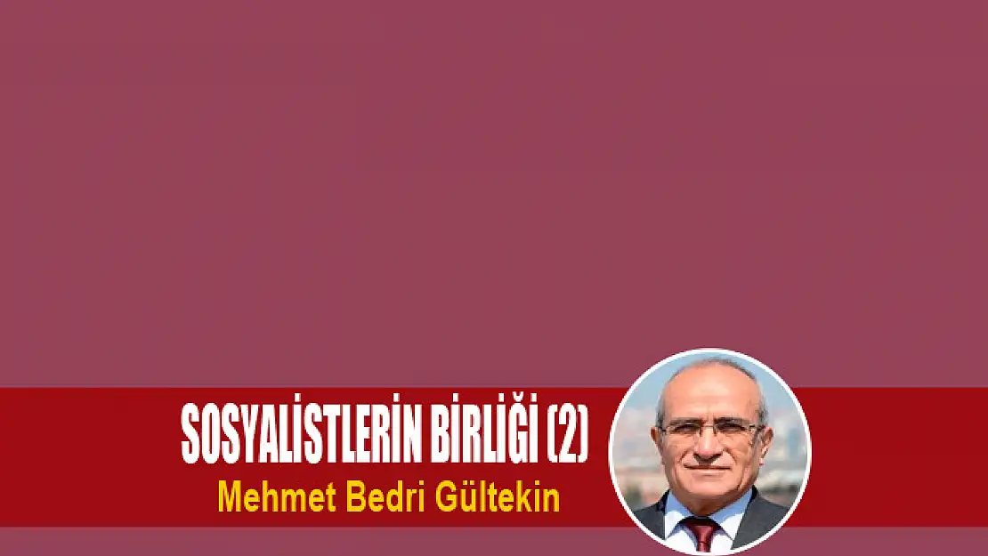 Sosyalistlerin birliği (2)