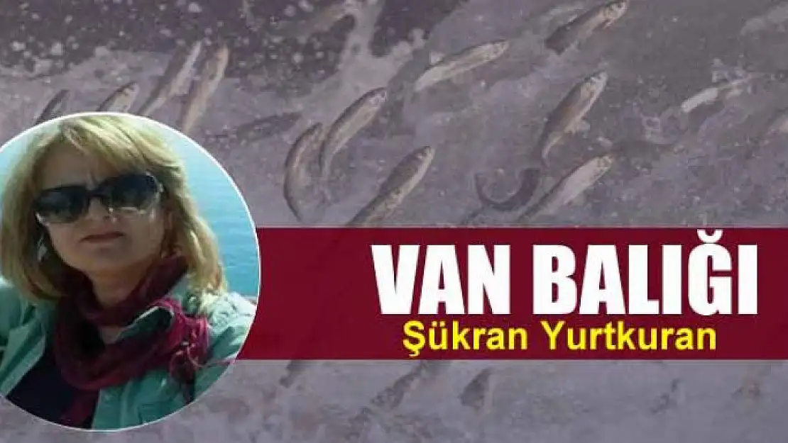 Van balığı