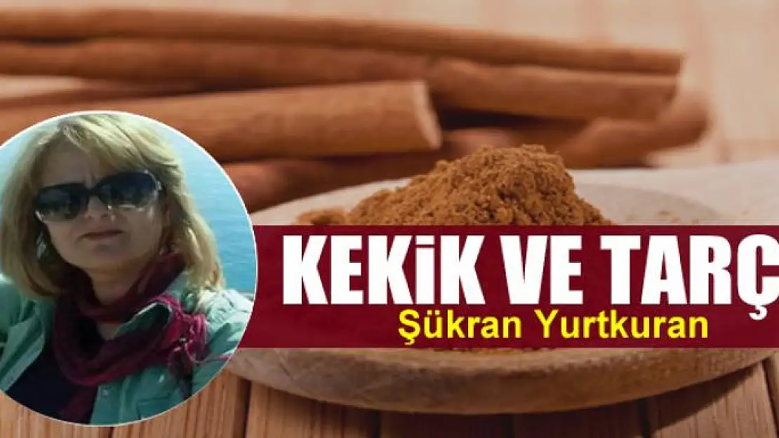 Kekik ve tarçın