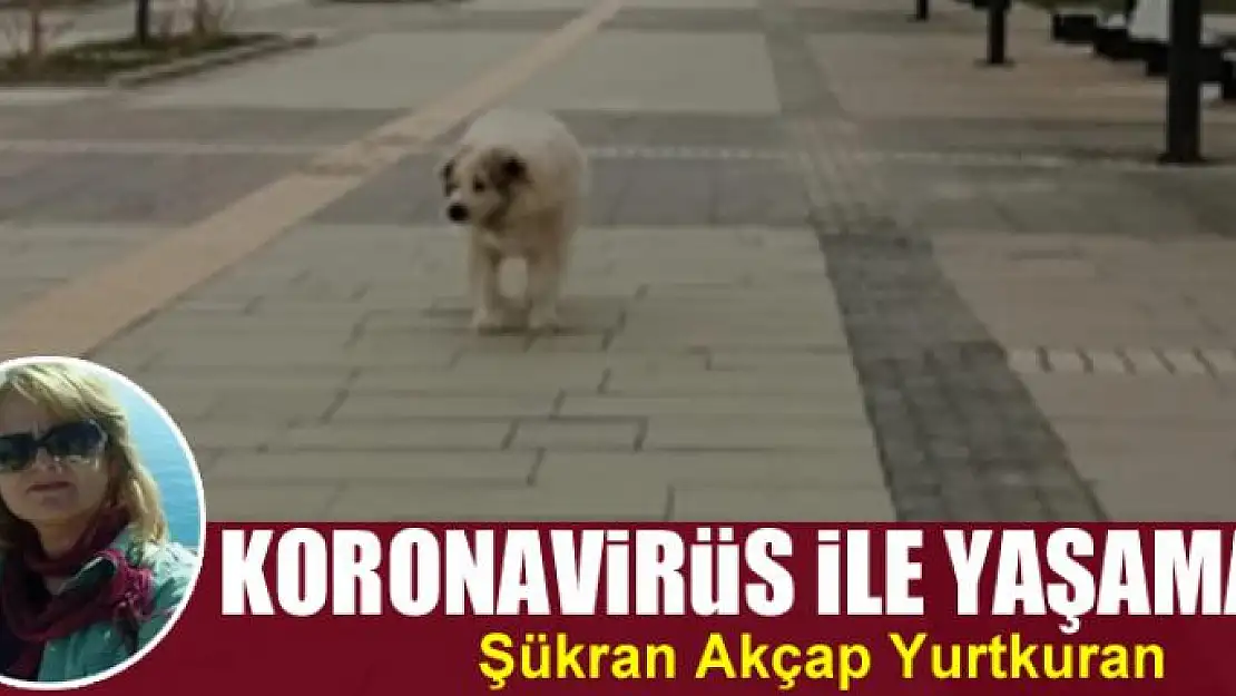 Koronavirüs ile yaşamak