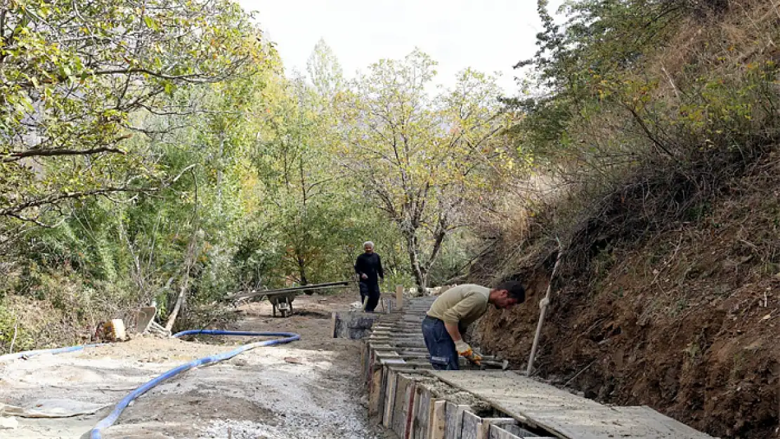 Sulama kanalı ceviz ağaçlarına can suyu olacak