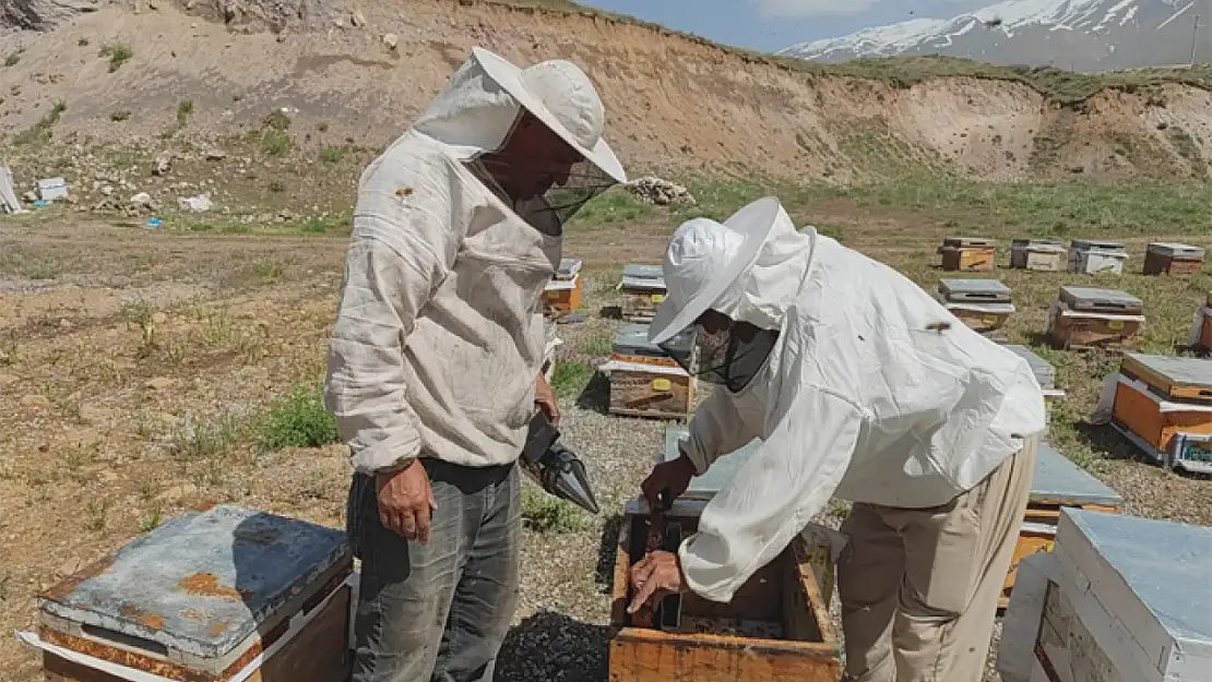 Süphan Dağı'nın eteklerinde üretim yapan arıcılar bu yıl yüksek rekolte bekliyor
