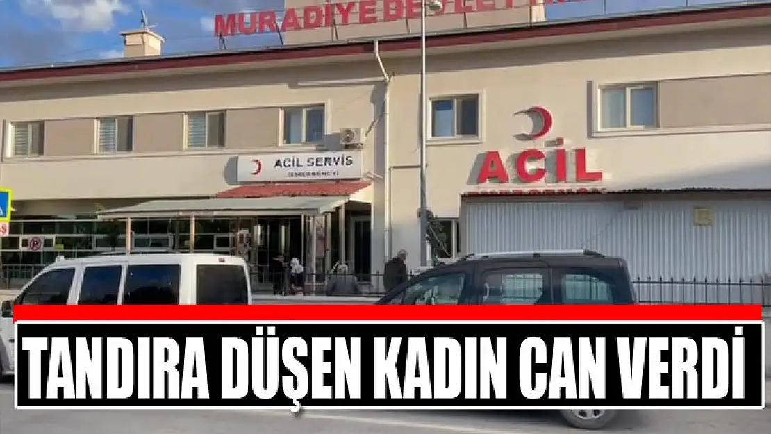 Tandıra düşen kadın can verdi