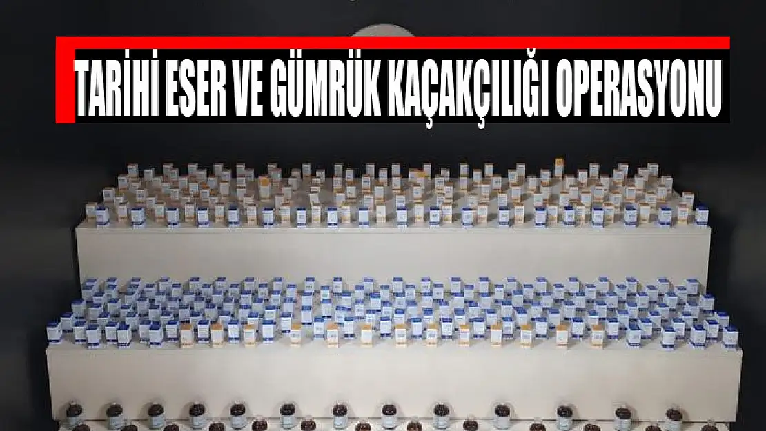 Tarihi eser ve gümrük kaçakçılığı operasyonu