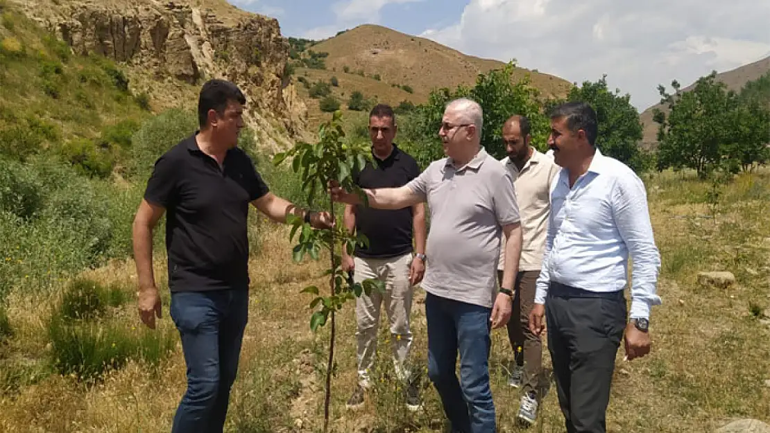 Tarım İl Müdürü Görentaş, Erciş'te incelemelerde bulundu